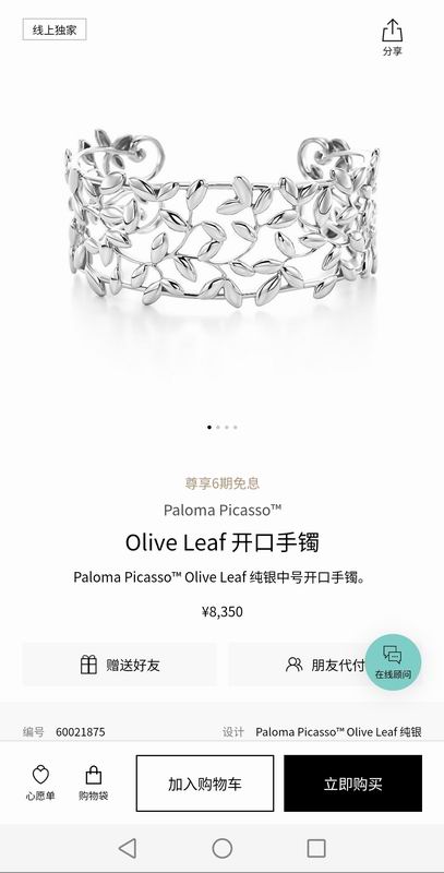 Tiffany bracelet 05lyx101